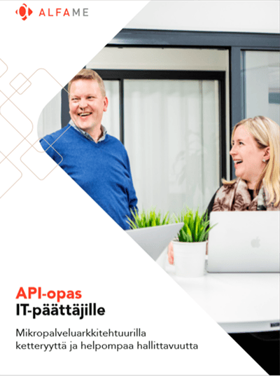 API-opas IT päättäjille kansikuva