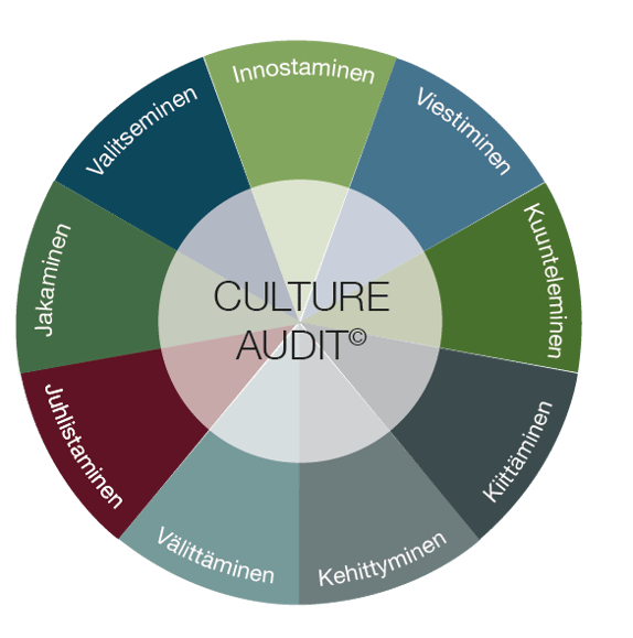 Culture_audit_ympyra.png