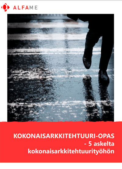 Kokonaisarkkitehtuuri opas kansikuva