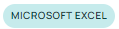 msexcel_skill